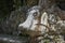 Fountain in the form of a stone head of a cow, elements of work by Antonio Gaudi