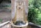 Fountain of free drinkable water in Rome