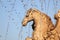 Fountain with a horse statue