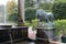 Fountain with lion sculpture, Grand Peterhof Palace