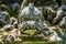 Fountain in the Low Grotto pond in the park of Historical Hermitage at Bayreuth, Bavaria, Germany