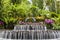 Fountain at Orchid Garden, Singapore Botanic Garden