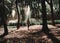 Fountain in the park of Bosque de Chapultepec with young woman