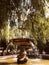 A fountain in a park in Kyiv has weeping willows and places to sit