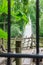 Fountain in the park Volkspark Friedrichshain