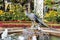 Fountain with a peacock`s sculpture, Great Kremlin Square, Moscow, Russia.