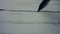 Fountain pen writing line on contract. Business person crossing text on document