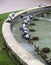 Fountain with pigeons