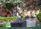 fountain at the plaza de las ranas in Las Palmas, Gran Canaria