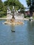 Fountain Pond, Tower Grove Park