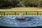 Fountain pool of reflective water before an open fence with green grass and trees, outdoor garden background