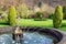 Fountain At Rydal Hall, Lake District, England