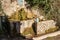 A fountain in the small town of Mazaugues in the Var department, in France