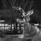 The fountain statue of birds, Fort Collins