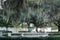 Fountain surrounded by oak trees and Spanish moss in Savannah, Georgia