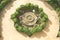 Fountain with topiary, Alhambra, Granada, Spain