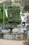 Fountain and topiary bush in a park