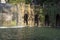 Fountain at Villa D `este in Tivoli on a Sunny summer day