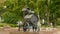 Fountain water barrel slow motion