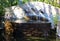 Fountain and water features at tropical paradise