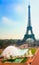 Fountains on the background of the Eiffel Tower