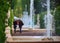 Fountains of the Summer Garden, close-up. St. Petersburg