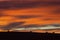 four American bison at sunrise