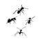 Four Ants Silhouette suitable for icons, logos. simple design silhouette set vector eps 10