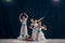 Four ballerinas, poised in white tutus with blue sashes, exhibit their refined ballet technique against dark backdrop on