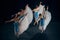 Four ballerinas in white and blue costumes performing on stage, each dancer showcasing exquisite balance of strength and