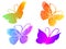 Four beautiful butterflies