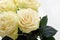 Four beautiful creamy roses in a bouquet close-up.