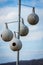 Four Birdhouse Gourds Hanging from Pole