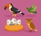 four birds species icons
