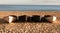 Four boats on the beach.