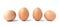 Four brown chicken eggs.