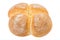 Four Buns Bread Closeup