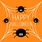 Four cartoon spider on the web. Halloween card