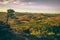 Four castles view, RÃ¶tzenfels, a sandstone rock with a cross and a tree. Sunrise, fog, Palatinate Forest, Germany. landscape shot