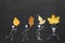 Four chalk drawing people in different poses, each hold a real autumn leaf in hands. inscription FALL on leaves.  blackboard or