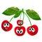 Four cheerful cherries on twigs, cartoon on a white background.