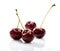 Four cherries close-up on white background