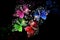 Four Christmas fairies positioned in a circle on a black background. Red, green, blue and purple fairy