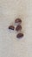Four coffie beans on a marble surface