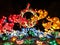 Four colorful Chinese fish light display