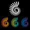 Four colorful nautilus spirals to choose from