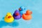 Four colourful rubber ducks, a family of ducks