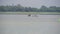 Four cranes & a pelican standing in a waterbody at Oussudu- Boat Club, Puducherry, India.
