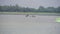 Four cranes & a pelican standing in a waterbody at Oussudu- Boat Club, Puducherry, India. Zoomed Version