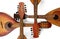 Four crossed vintage mandolins. Isolated on white background.